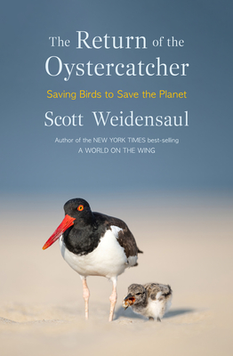 Coperta cărții 'The Return of the Oystercatcher: Saving Birds to Save the Planet - Scott Weidensaul'