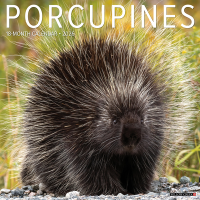 Porcupines 12 X 12 Wall Calendar - 