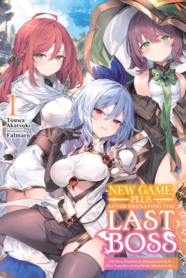 Coperta cărții 'New Game Plus After Defeating the Last Boss, Vol. 1 (Light Novel) - Touwa Akatsuki'