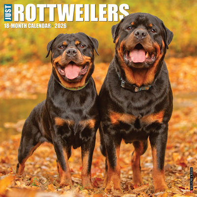 Rottweilers 2026 12 X 12 Wall Calendar - 