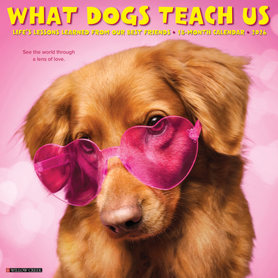 What Dogs Teach Us 2026 12 X 12 Wall Calendar - 