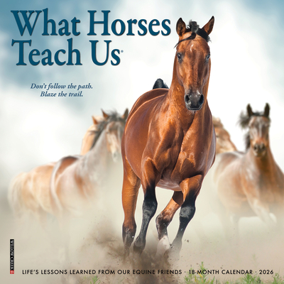 What Horses Teach Us 2026 7 X 7 Mini Wall Calendar - 