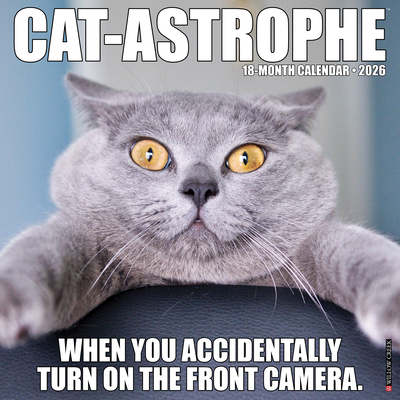 Cat-Astrophe 2026 12 X 12 Wall Calendar - 