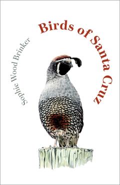Coperta cărții 'Birds of Santa Cruz - Sophie Wood Brinker'