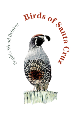 Coperta cărții 'Birds of Santa Cruz - Sophie Wood Brinker'