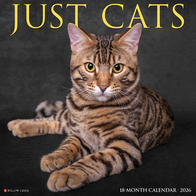 Cats 2026 12 X 12 Wall Calendar - 