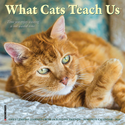 What Cats Teach Us 2026 7 X 7 Mini Wall Calendar - 