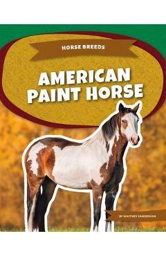 American Paint Horse - Whitney Sanderson