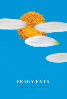 Fragments - Magdalena Stevens