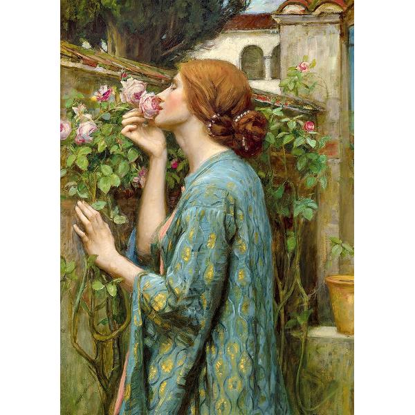 Puzzle 1000: The Soul of The Rose. John William Waterhouse