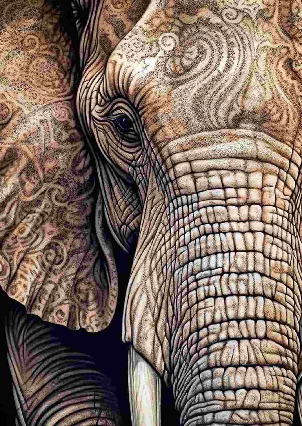Puzzle 1000: Ancestral Patterns