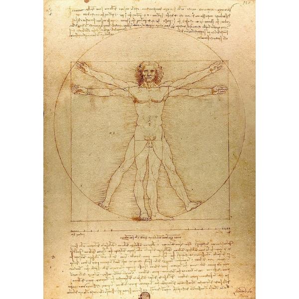Puzzle 1000: The Vitruvian Man. Leonardo da Vinci
