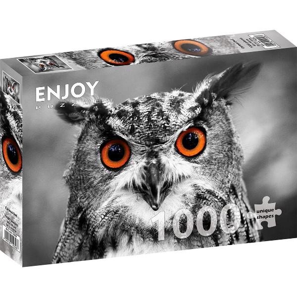 Puzzle 1000: Curious Owl