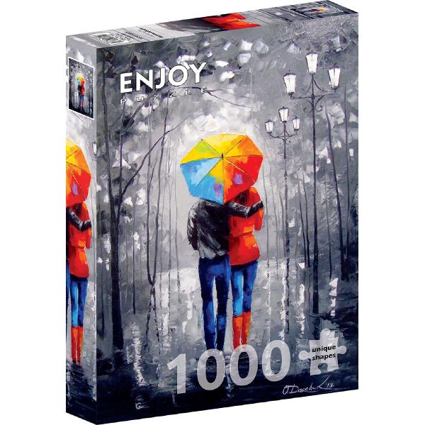 Puzzle 1000: A Bright Meeting