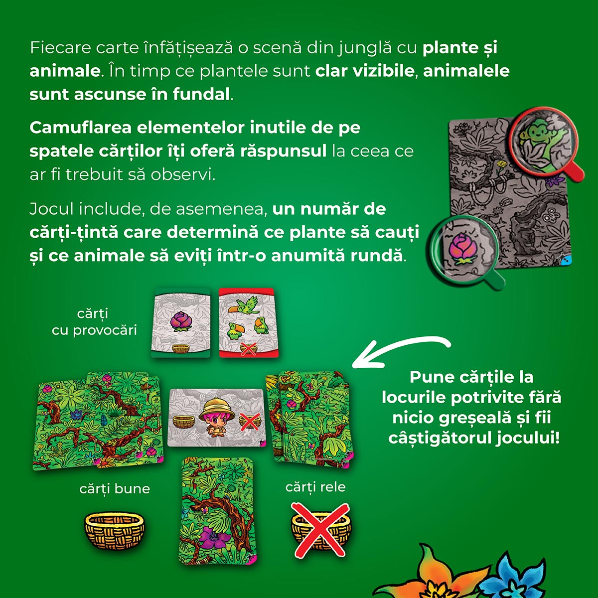 Joc de societate: Sa exploram jungla