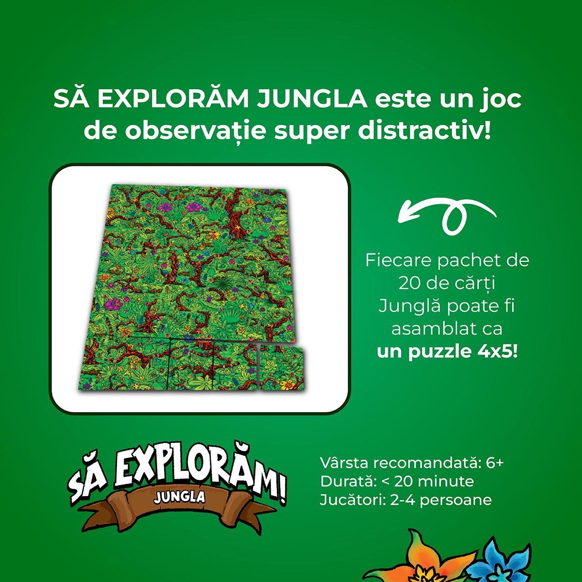 Joc de societate: Sa exploram jungla