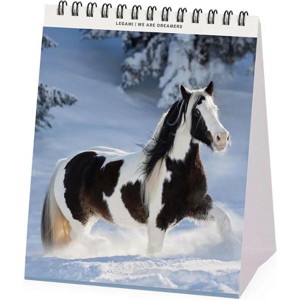 Calendar de birou 2026: Wild Horses