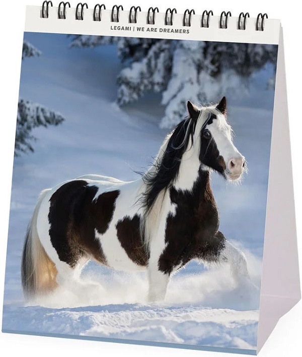 Calendar de birou 2026: Wild Horses