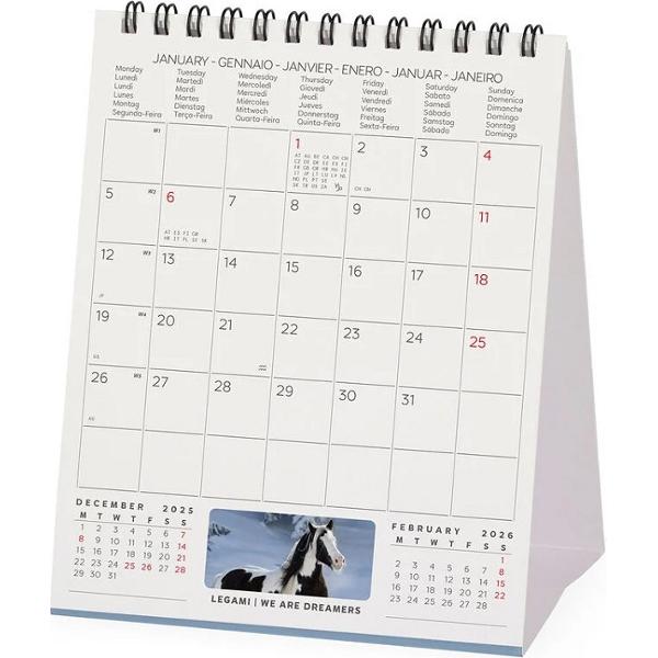 Calendar de birou 2026: Wild Horses