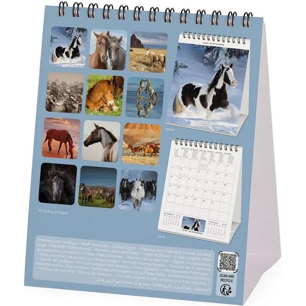 Calendar de birou 2026: Wild Horses