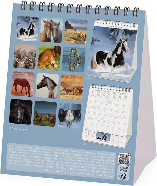 Calendar de birou 2026: Wild Horses