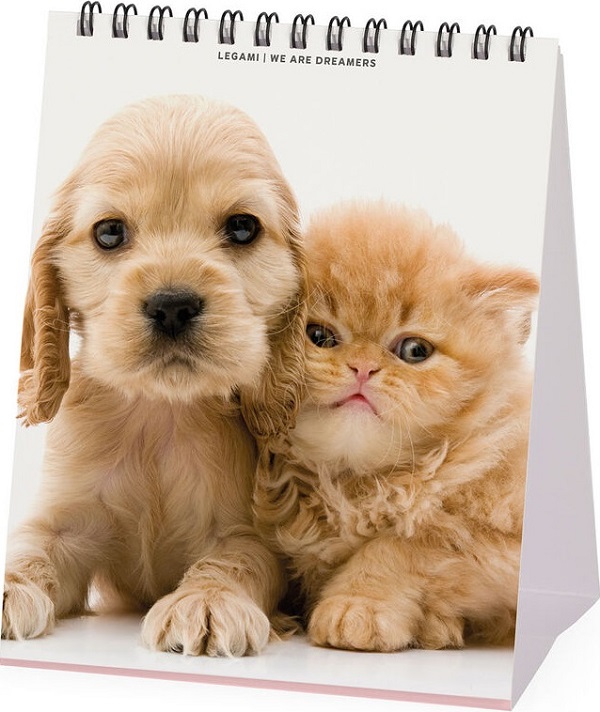 Calendar de birou 2026: Best Friends