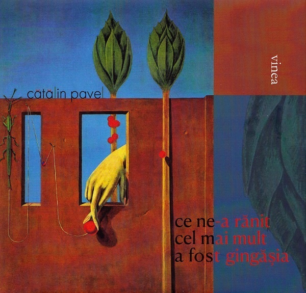 Ce ne-a ranit cel mai mult a fost gingasia - Catalin Pavel
