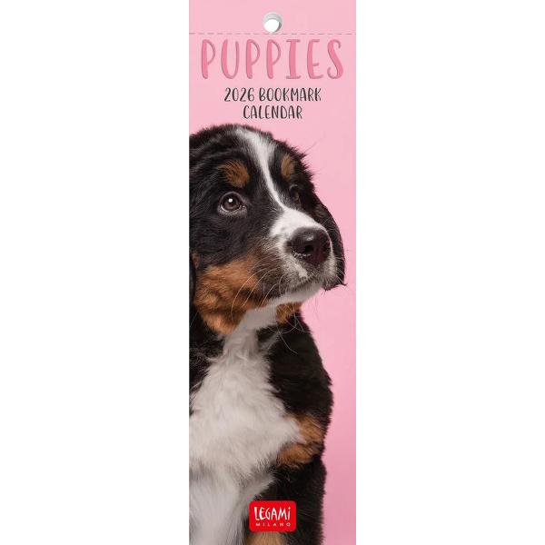 Semne de carte: Calendar 2026. Puppies