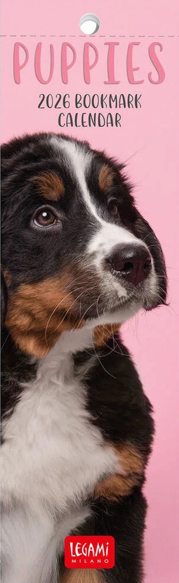 Semne de carte: Calendar 2026. Puppies