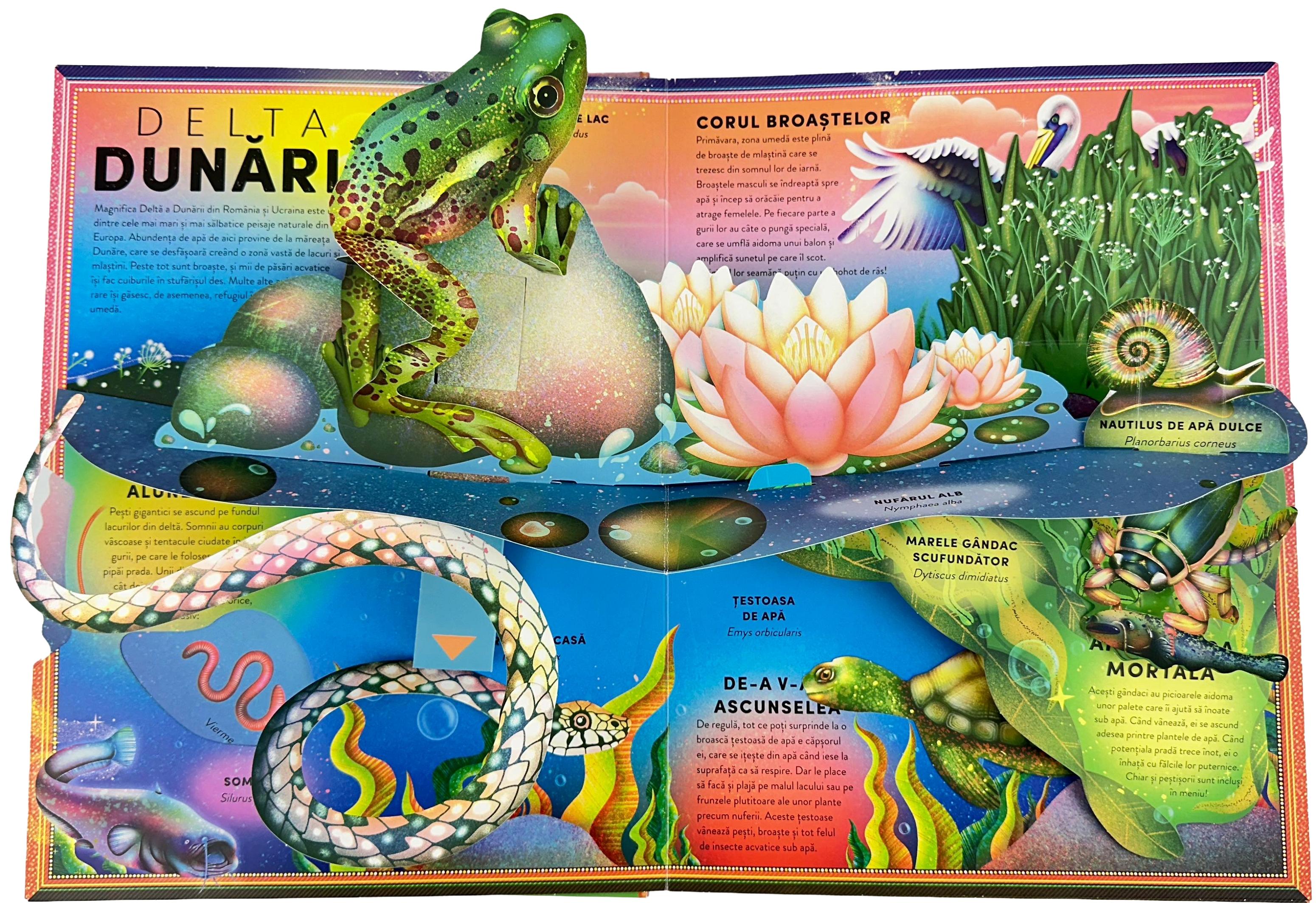 Formidabila carte cu broaste si alte creaturi acvatice - Ben Hoare