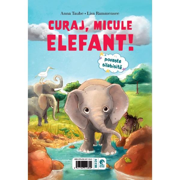Un prieten pentru micul manz. Curaj, micule elefant! - Eva Hierteis, Anna Taube