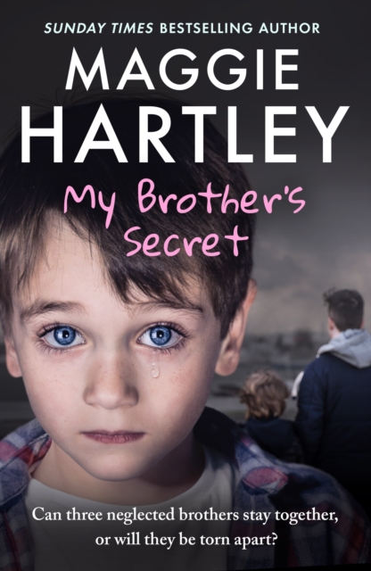 Coperta cărții 'My Brother's Secret - Maggie Hartley'