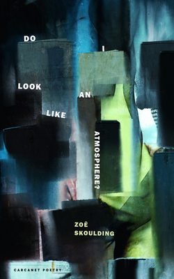 Coperta cărții 'Do I Look Like an Atmosphere? - Zoe Skoulding'