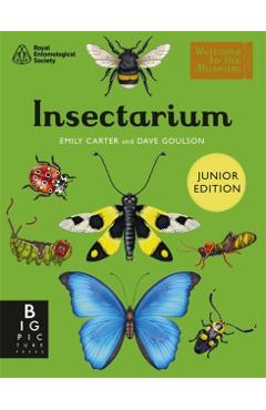 Insectarium (Junior Edition) - Dave Goulson