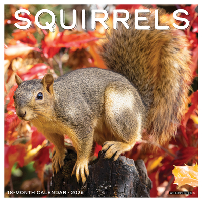 Squirrels 2026 12 X 12 Wall Calendar - 