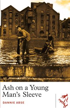 Ash on a Young Man's Sleeve - Dannie Abse