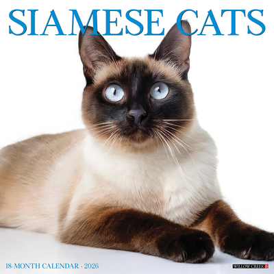 Siamese Cats 2026 12 X 12 Wall Calendar - 