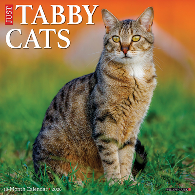 Tabby Cats 2026 12 X 12 Wall Calendar - 