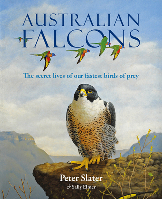 Australian Falcons - Peter Slater