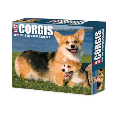 Corgis 2026 5.4 X 6.2 Box Calendar - 