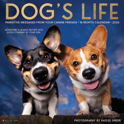 Dog's Life 2026 12 X 12 Wall Calendar - Kaylee Greer