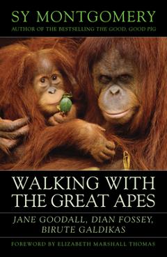 Coperta cărții 'Walking with the Great Apes: Jane Goodall, Dian Fossey, Biruté Galdikas - Sy Montgomery'