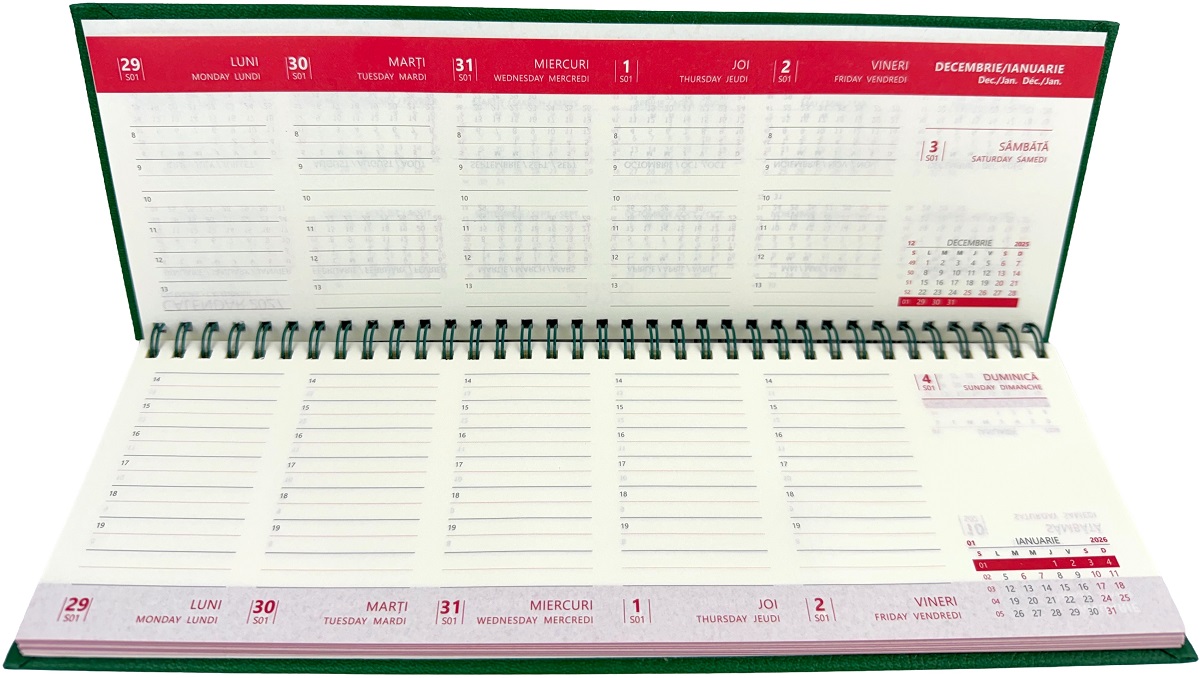 Planner saptamanal de birou 2026: Verde. Ivory Ego