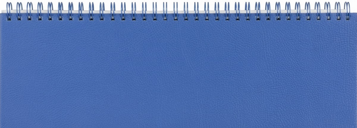 Planner saptamanal de birou 2026: Albastru. Ivory Ego