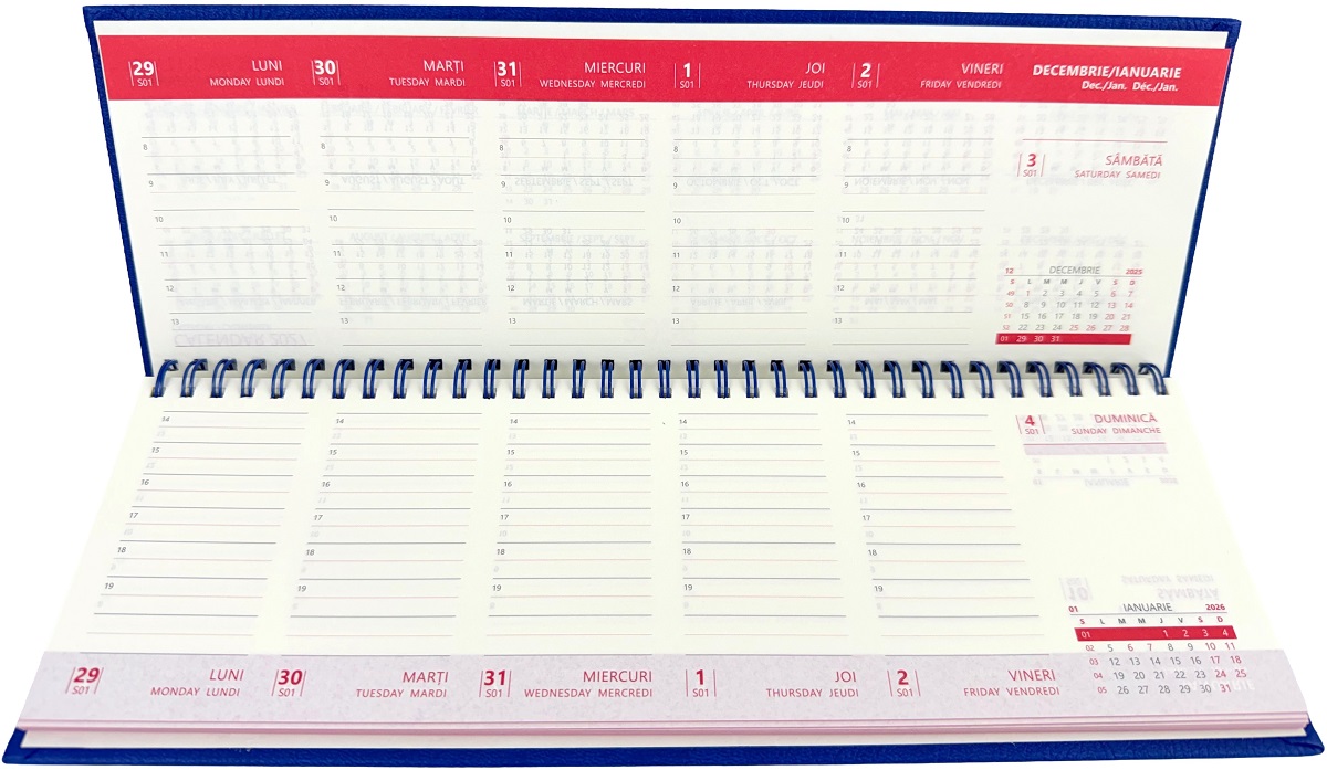 Planner saptamanal de birou 2026: Albastru. Ivory Ego