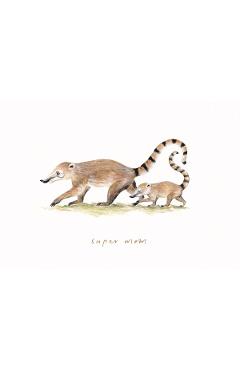 Imaginea produsului 'Felicitare: Super Mom. Coati. Mai Colorat'