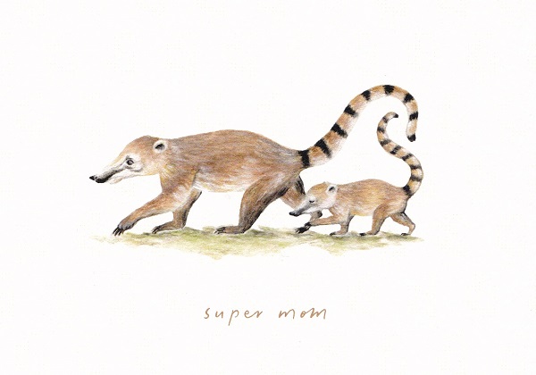 Felicitare: Super Mom. Coati. Mai Colorat