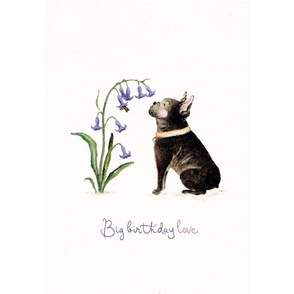 Felicitare: Frenchie. Big Birthday Love. Mai Colorat