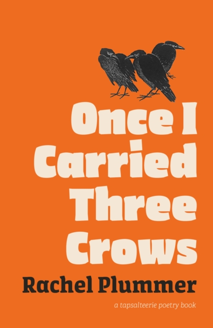Once I Carried Three Crows - Rachel Plummer