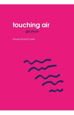 Coperta cărții 'Touching Air - Gill Shaw'